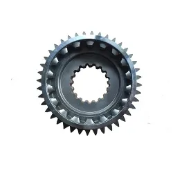 FAST Heavy Truck Parts Transmission Gearbox Drive Gear Js150ta-1707030b