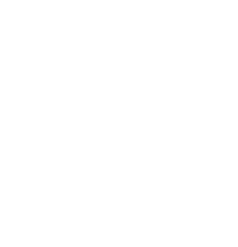 sanylogo